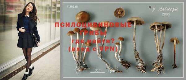 экстази Рославль